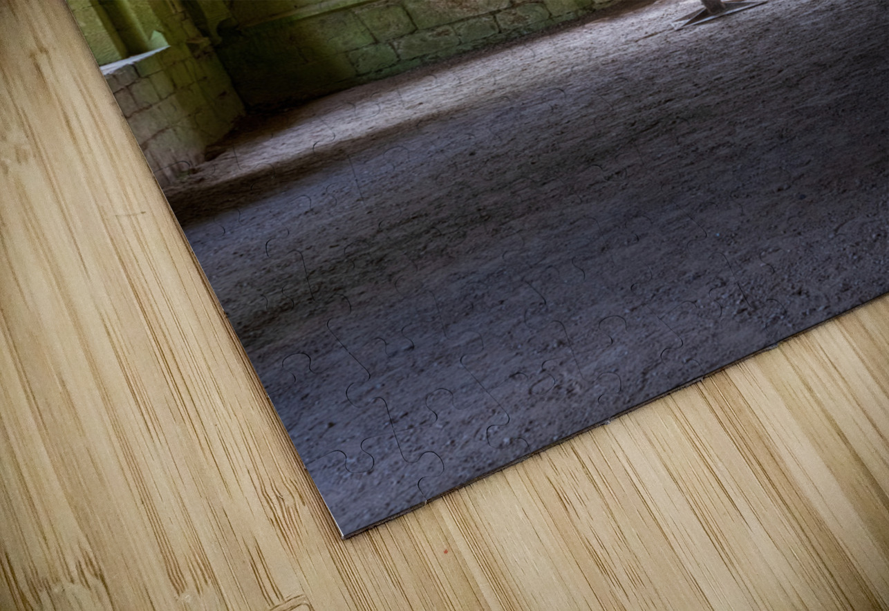 Cross Cellarium at Fountains Abbey ruins in Yorkshire England Steve Heap Puzzle