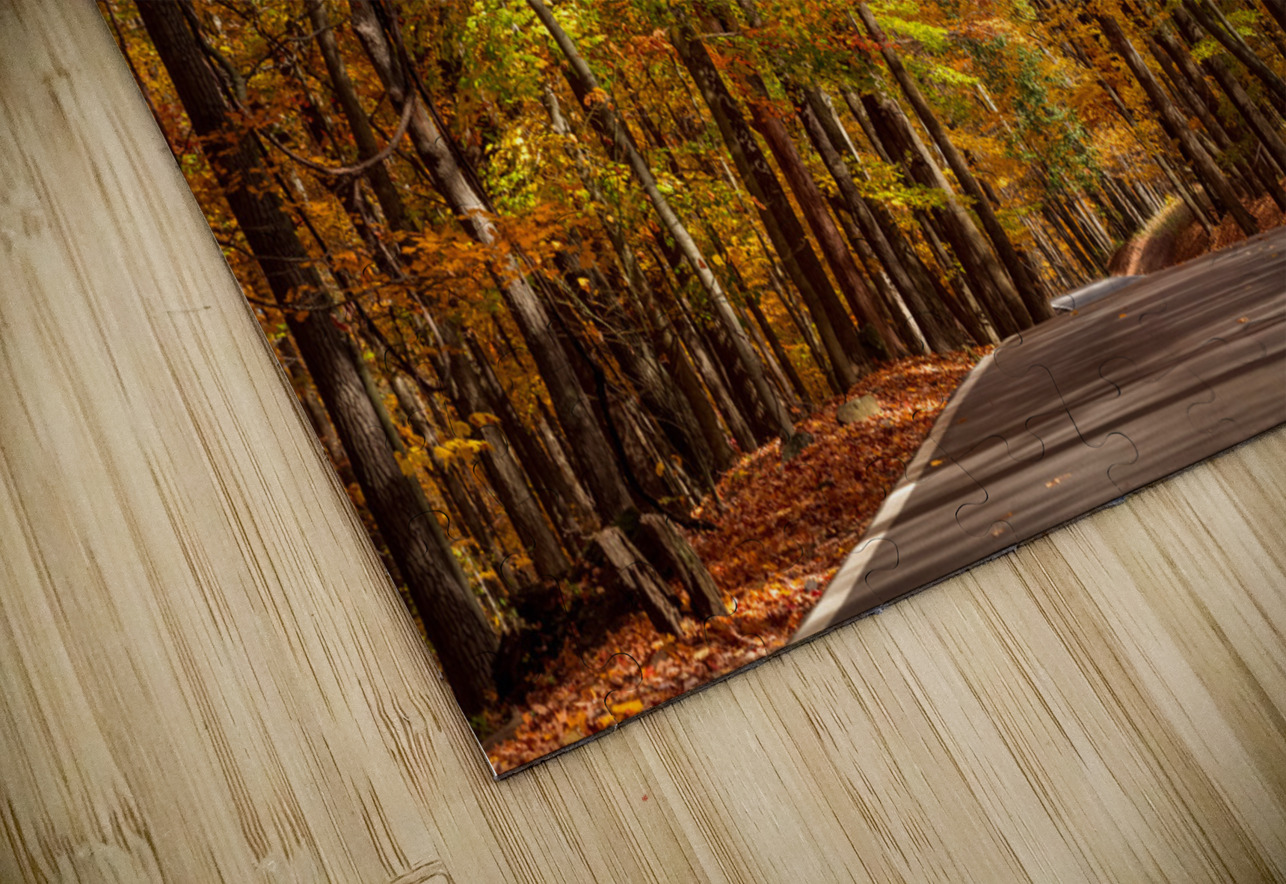Road leading to Coopers Rock state park Steve Heap Puzzle