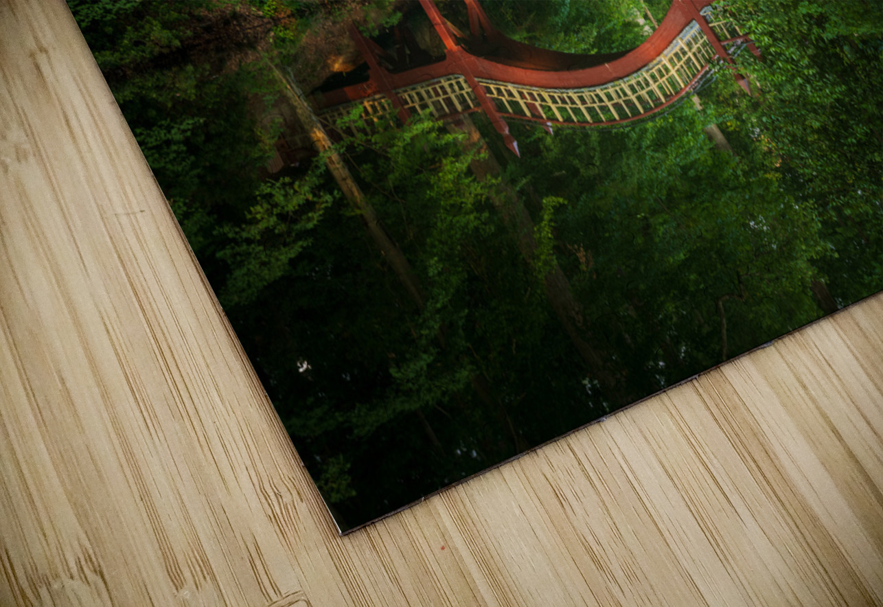 Crim Dell bridge at William and Mary college Steve Heap Puzzle