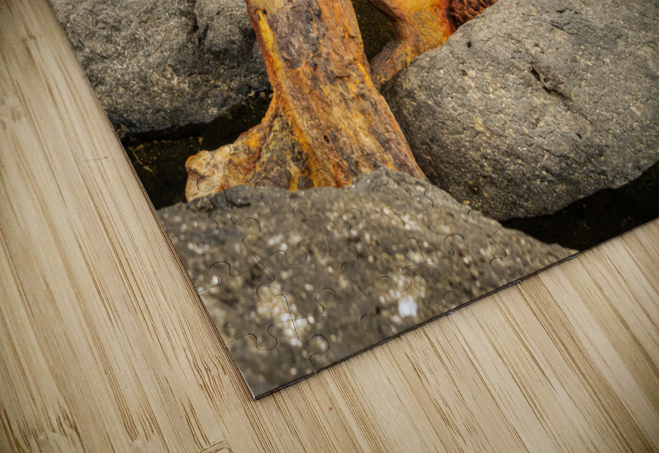 Sugar industry equipment abandoned on Mokolea Point Steve Heap Puzzle