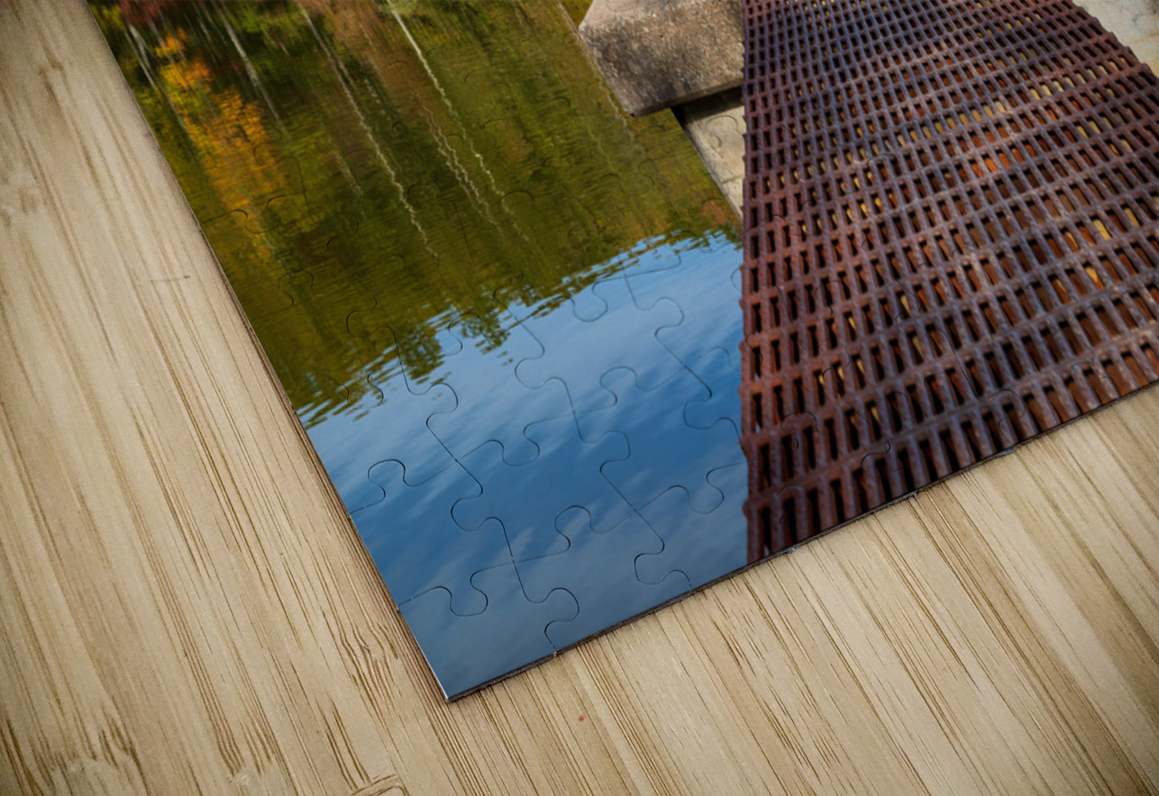 Fall leaves and metal pier in Coopers Rock State Forest in WV Steve Heap Puzzle