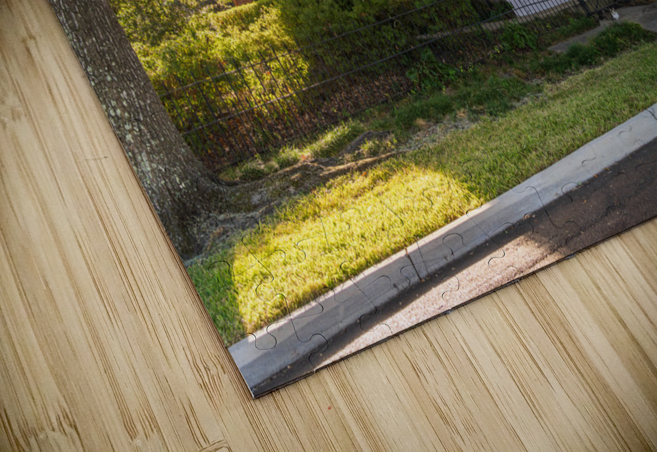 Facade of antebellum home in Natchez in Mississippi Steve Heap Puzzle