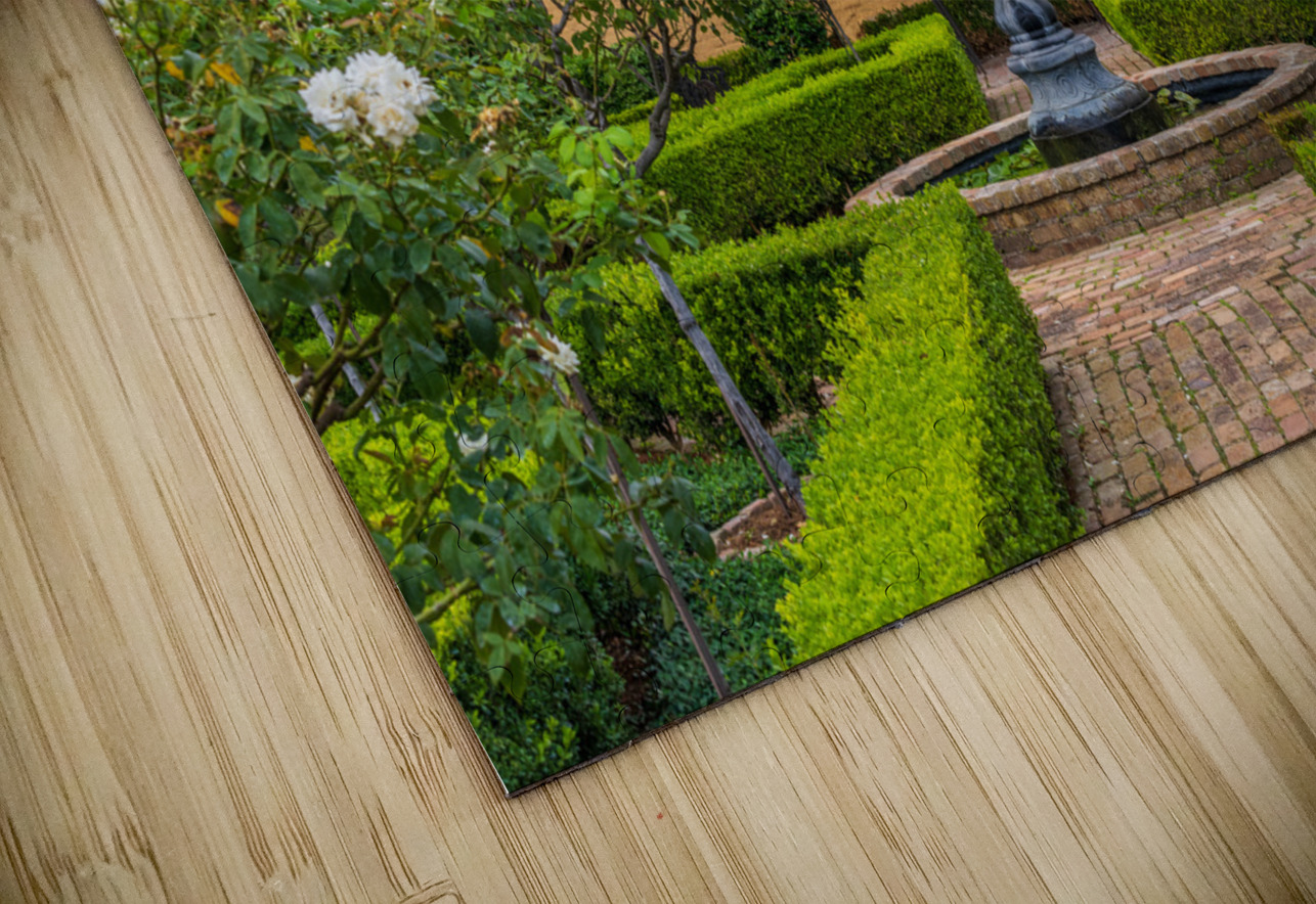 Small tree filled garden in French Quarter of New Orleans Steve Heap Puzzle