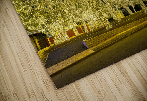 Holiday lights spectacular in Johnson City Texas Steve Heap puzzle