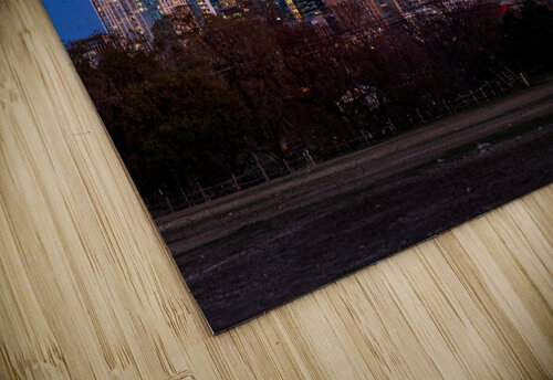 Night cityscape of downtown Austin from the west in Zilker park  Steve Heap puzzle