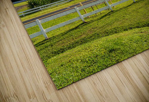 Waioli Huiia Church stands in Hanalei Kauai with the majestic  Steve Heap puzzle