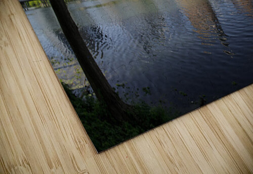 Fisheye lens view of Austin skyline including Congress bridge Steve Heap puzzle