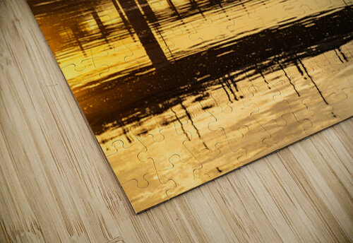 The Pfluger pedestrian bridge with the Lamar Boulevard bridge be Steve Heap puzzle