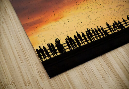 Bats Flying Overhead - Crowd on Congress Avenue bridge Steve Heap puzzle