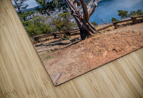 View from the Washington Park overlook over the town of Anacorte Steve Heap puzzle