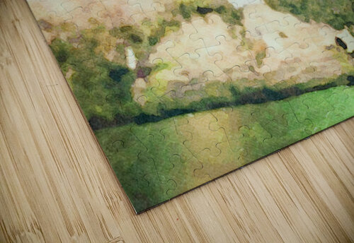 White throated mountaingem hummingbird perched on a twig  in Cos Steve Heap puzzle