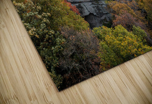 Coopers Rock state park overlook in the fall Steve Heap puzzle