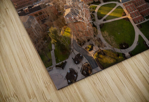 Aerial panorama of the Woodburn Circle at the university  Steve Heap puzzle