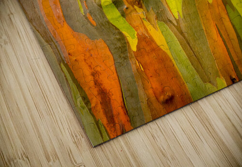 Detail of bark of Rainbow Eucalyptus tree Steve Heap puzzle