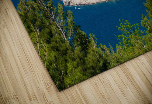 Fortress town of Dubrovnik in Croatia framed by trees Steve Heap puzzle