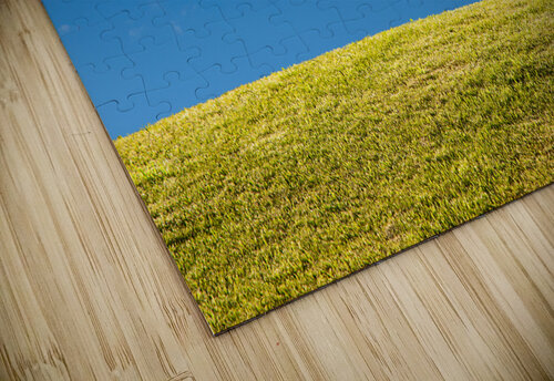 Green grassy lawn with blue sky and clouds Steve Heap puzzle