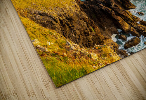 Coastline in late evening sun at Port Quin jigsaw puzzle