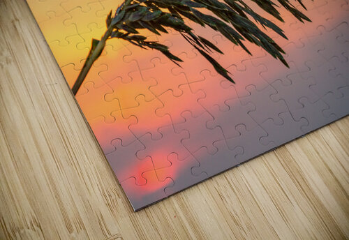 Sea Oats against rising sun in Florida Steve Heap puzzle