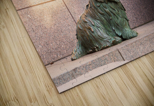 Pet dog at Roosevelt memorial Washington DC Steve Heap puzzle