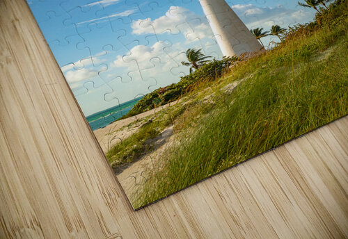 Cape Florida lighthouse in Bill Baggs Steve Heap puzzle
