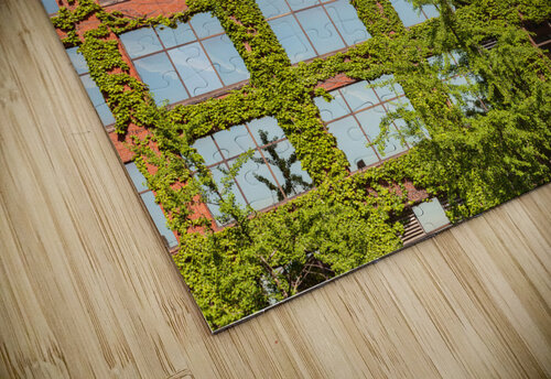 Modern Chicago office covered with plants Steve Heap puzzle