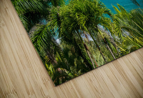 Mokolea point and Kahili beach framed by palm trees Kauai Steve Heap puzzle