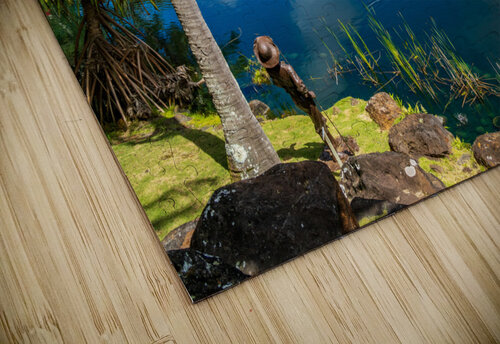 Gorgeous lagoon and lake in the Na Aina Kai sculpture garden Steve Heap puzzle