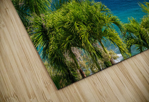 Mokolea point and Kahili beach framed by palm trees Kauai Steve Heap puzzle