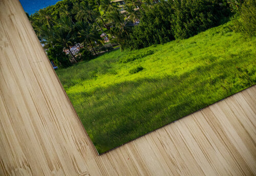 Hotel nestling in the hillside on Hanalei bay on Kauai Steve Heap puzzle