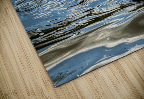 American alligator head in calm waters of Atchafalaya Steve Heap puzzle