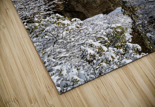 Coopers Rock overlook covered in winter snow near Morgantown Steve Heap puzzle