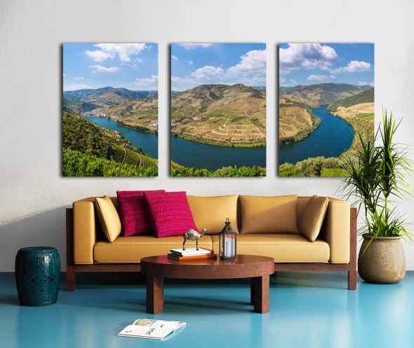 Vineyards line the Douro valley in Portugal Split Canvas print