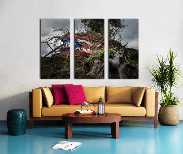 Fallen tree from Hurricane Maria in San Juan Split Canvas print
