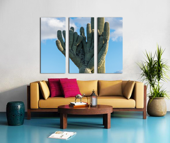 Crested Saguaro in National Park West Split Canvas print