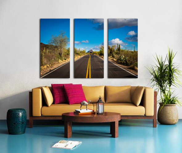 Road and cactus in Saguaro National Park Split Canvas print