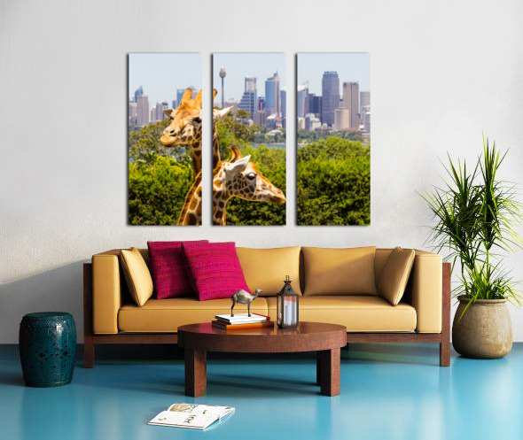 Giraffes with a fabulous view of Sydney Split Canvas print