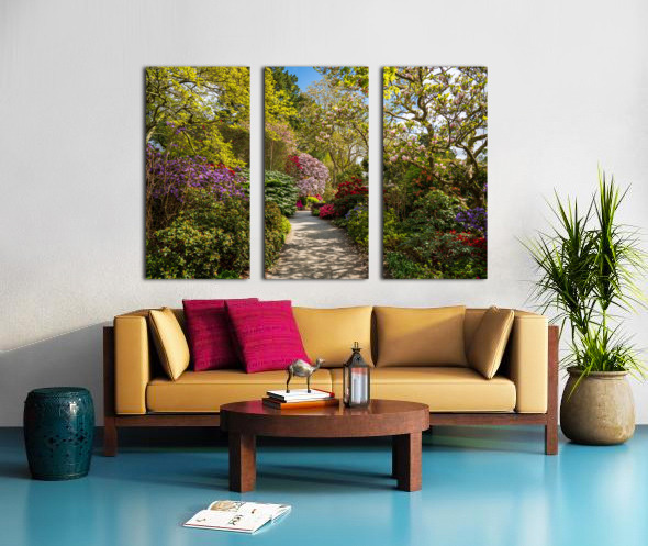 Azaleas and Rhododendron trees surround pathway in spring Split Canvas print
