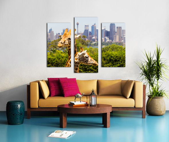 Giraffes with a fabulous view of Sydney Canvas print