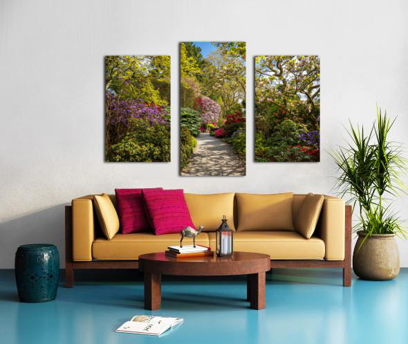 Azaleas and Rhododendron trees surround pathway in spring Canvas print