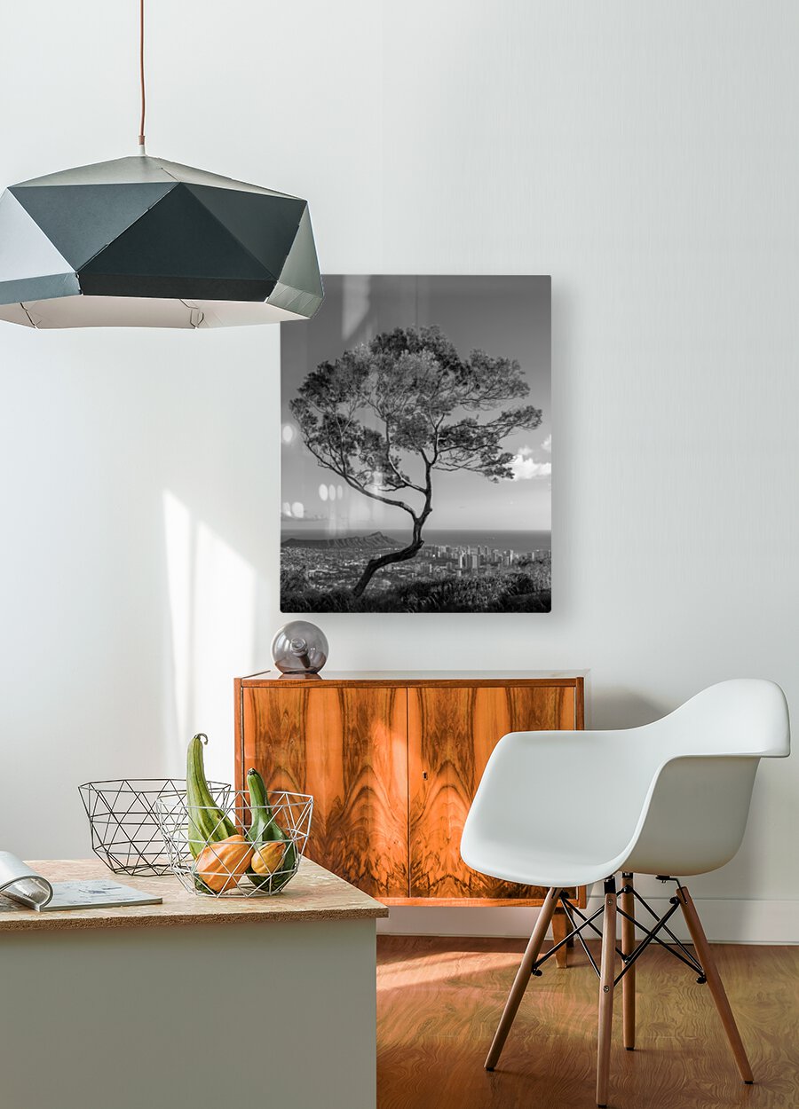 Solitary tree overlooks Waikiki in Black and White  HD Metal print with Floating Frame on Back