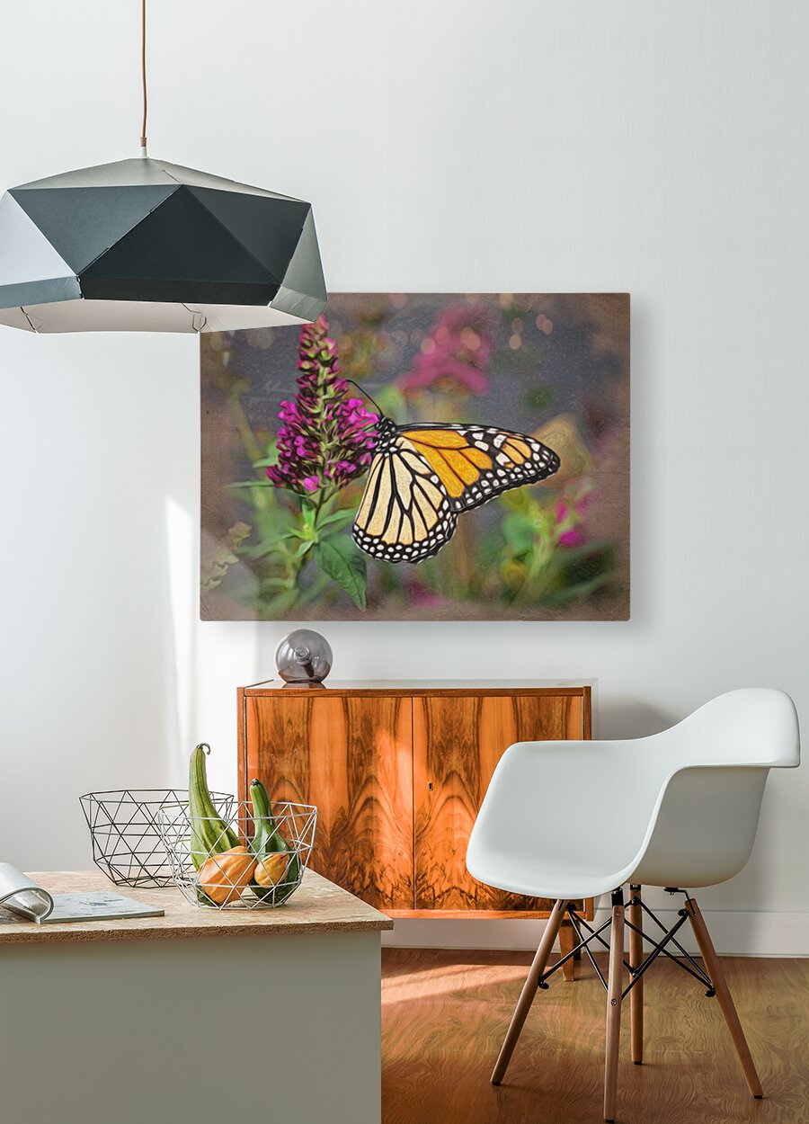 Beautiful Monarch butterfly feeding in garden  HD Metal print with Floating Frame on Back