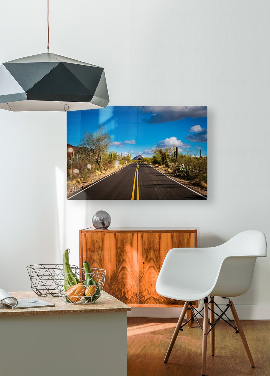 Road and cactus in Saguaro National Park  HD Metal print with Floating Frame on Back