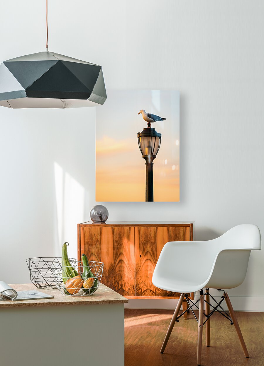 Seagull on a cast iron street lamp at dusk  HD Metal print with Floating Frame on Back