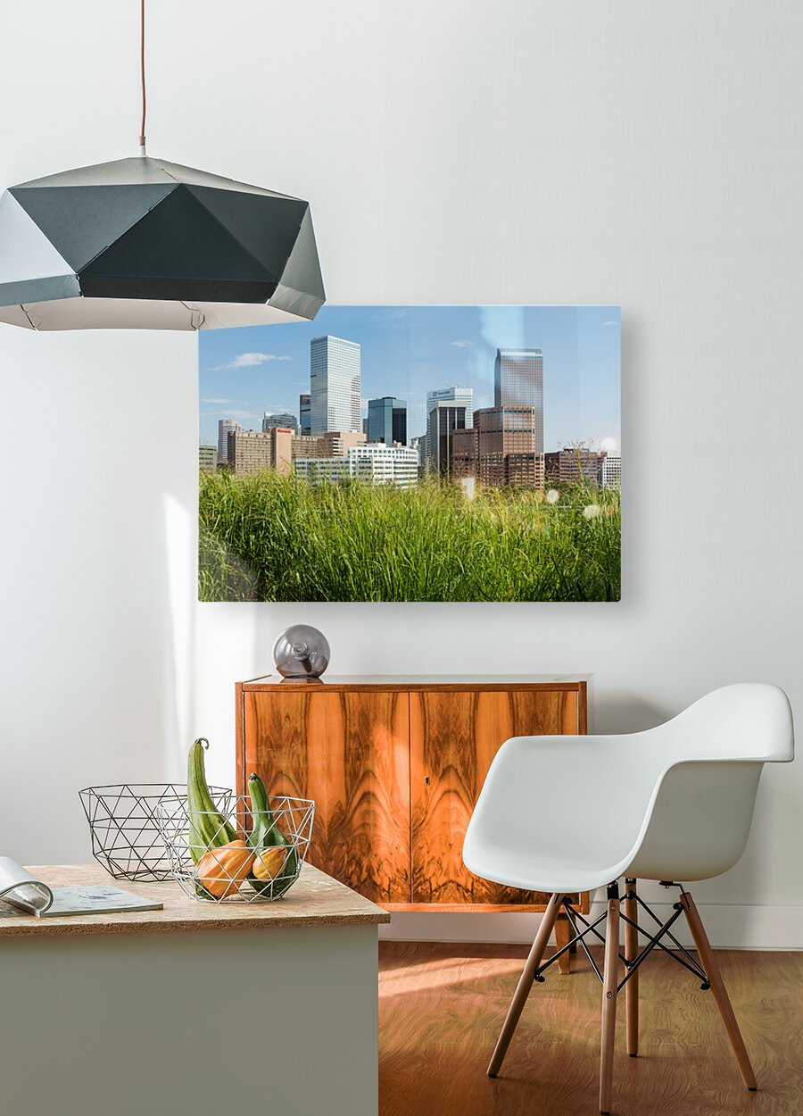 View of downtown buildings in Denver  HD Metal print with Floating Frame on Back