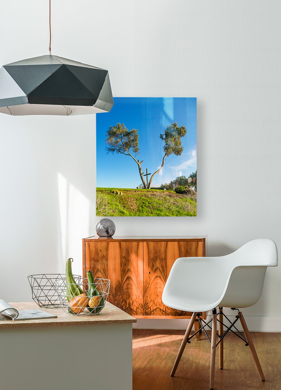 Serra Cross in Ventura California between trees  HD Metal print with Floating Frame on Back