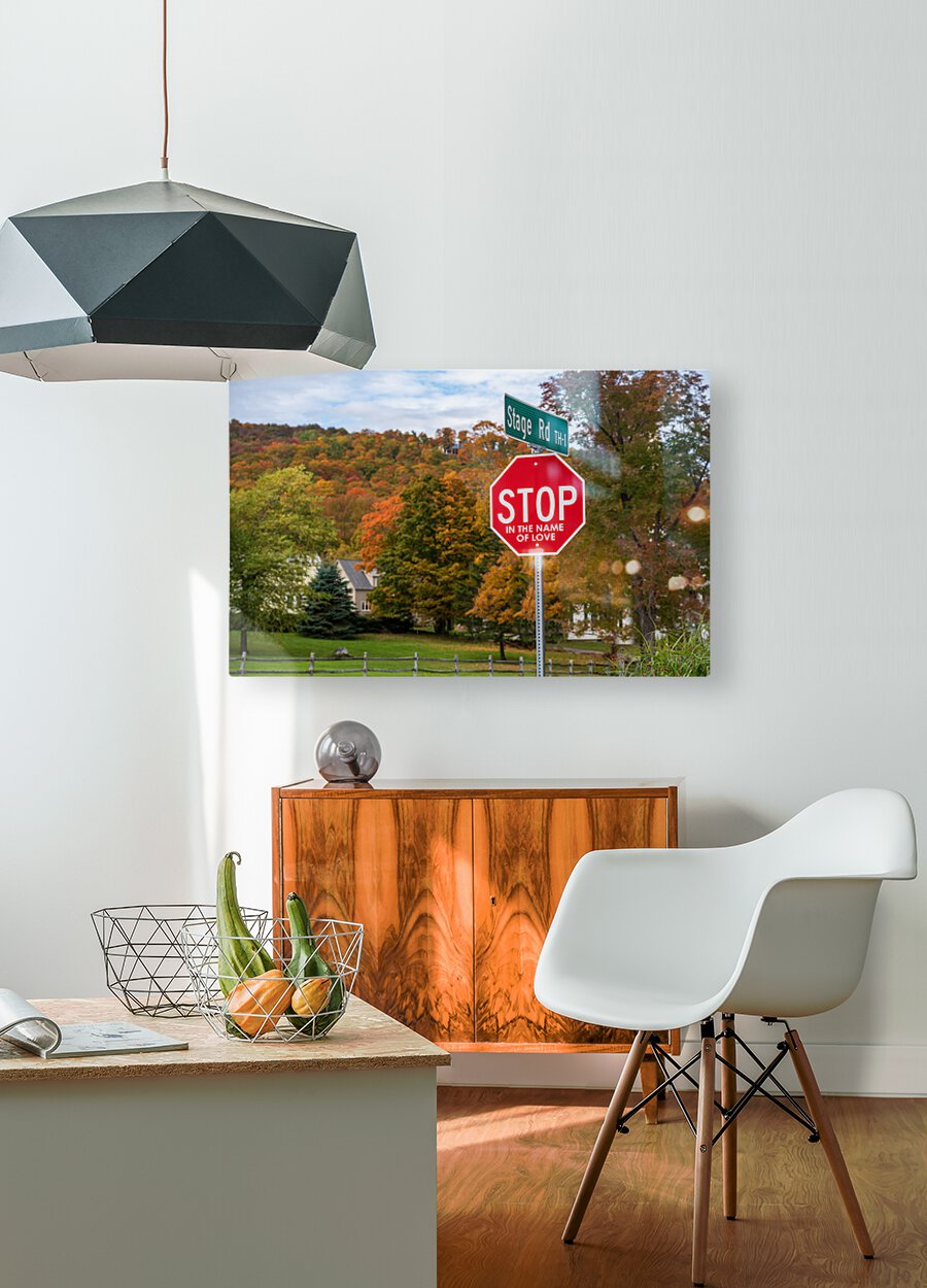 Stop in the name of love road sign in Vermont  HD Metal print with Floating Frame on Back