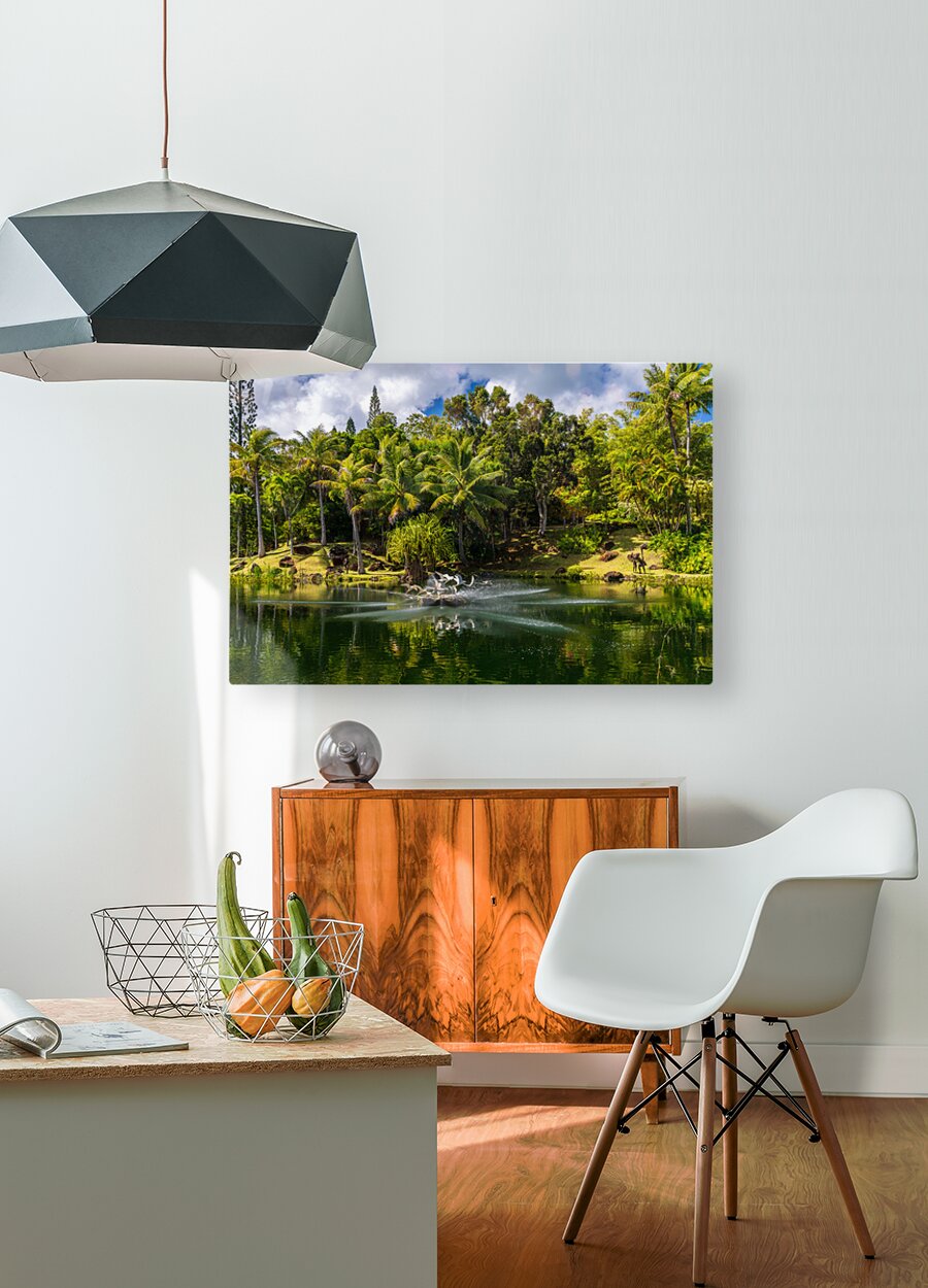 Gorgeous lagoon and lake in the Na Aina Kai sculpture garden  HD Metal print with Floating Frame on Back