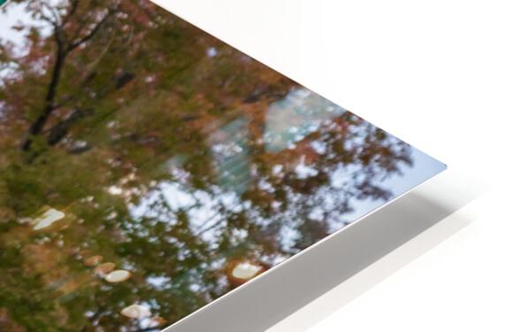 Stop in the name of love road sign in Vermont HD Sublimation Metal print