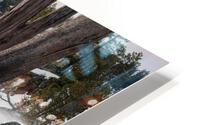 Lower Eagle Falls by Lake Tahoe HD Metal print