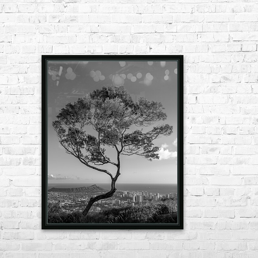 Solitary tree overlooks Waikiki in Black and White HD Sublimation Metal print with Decorating Float Frame (BOX)
